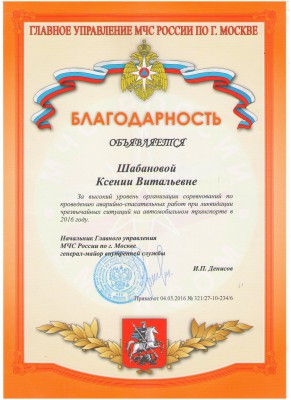 благодарность статисты на ДТП L.jpg