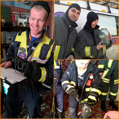 коллаж 28.02.jpg