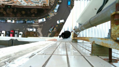 а он страдает.jpg