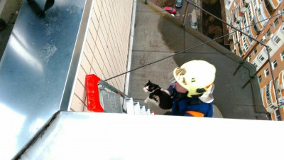 еще один спасенный.jpg