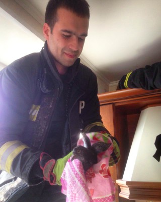 Спасенная птица.jpg