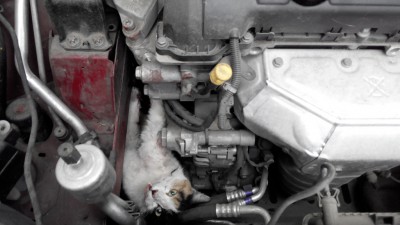 20141116105430 - 1.jpg